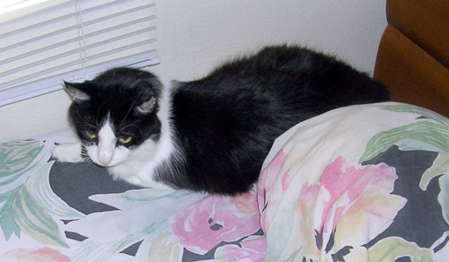 RIP Booger